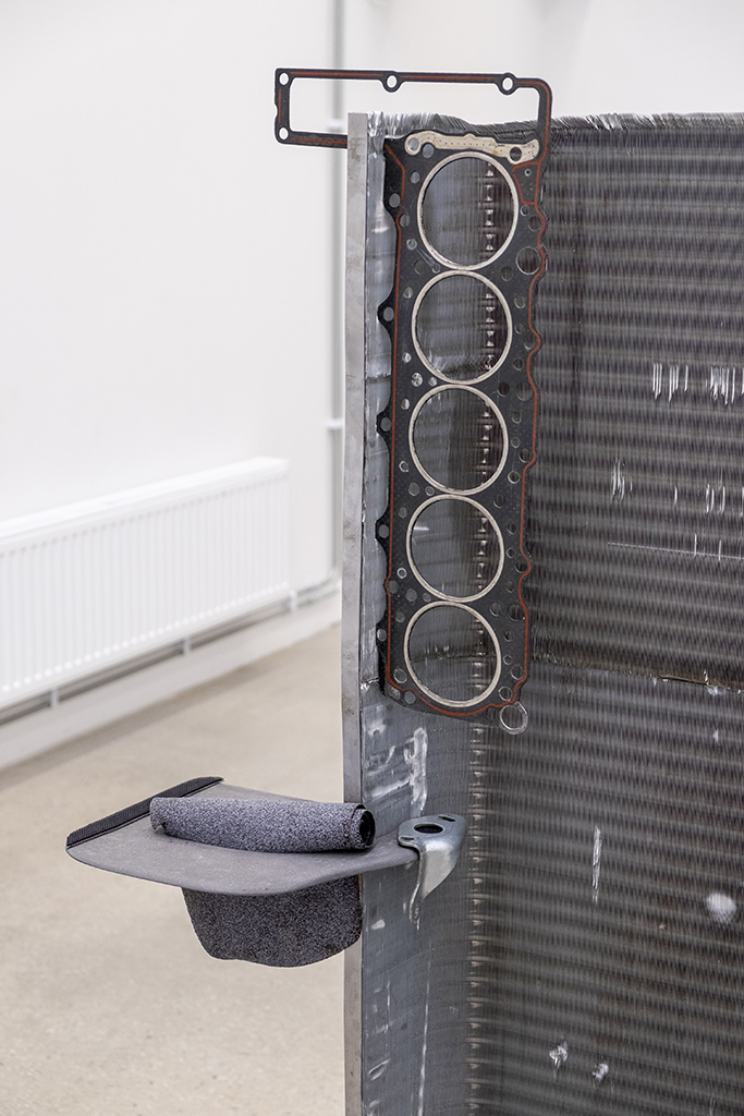 Carina Emery - Organ of Manipulation (Wing Mirrors), 2020